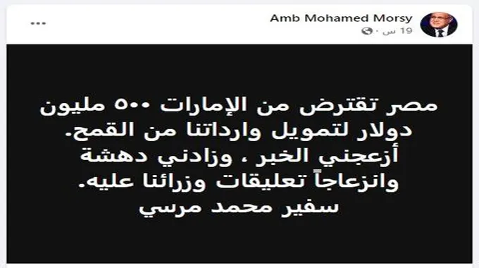 مصر تستورد قمحا مزروعا على أراضيها.. ما قصة